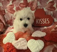 processed/2539bc02-e503-49b4-a798-dabf0b9affe3/listing/7d0675a7-785e-4aaa-92dc-14612ccb40e5/65e9cfe3-3f9e-44a5-b405-63f435e1417d