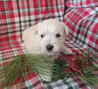 processed/2539bc02-e503-49b4-a798-dabf0b9affe3/listing/7d0675a7-785e-4aaa-92dc-14612ccb40e5/d9d2827f-402f-4813-979e-5a8fa8274bc2