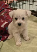 processed/2539bc02-e503-49b4-a798-dabf0b9affe3/listing/7d0675a7-785e-4aaa-92dc-14612ccb40e5/fde8e571-6bef-4c32-9a2d-f33e3ce1ab8f