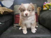 processed/253b0d93-c331-4bb4-8b36-9b6df43f80c4/listing/0ce11738-027d-4e2c-bfb1-c2c0e795de5d/077ccd9b-6cc8-40b8-b397-f506c5a85ad4