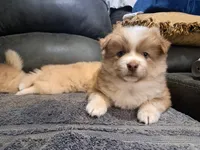 processed/253b0d93-c331-4bb4-8b36-9b6df43f80c4/listing/0ce11738-027d-4e2c-bfb1-c2c0e795de5d/b5baafdb-02d0-48a3-931b-5de9eeb2a477