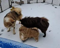 processed/253b0d93-c331-4bb4-8b36-9b6df43f80c4/listing/0ce11738-027d-4e2c-bfb1-c2c0e795de5d/c540574c-d9de-4872-9c36-eb46ccf800ba