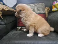 processed/253b0d93-c331-4bb4-8b36-9b6df43f80c4/listing/0ce11738-027d-4e2c-bfb1-c2c0e795de5d/d35321ae-d6aa-4c33-8373-321f7264d1ef