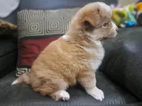 processed/253b0d93-c331-4bb4-8b36-9b6df43f80c4/listing/0ce11738-027d-4e2c-bfb1-c2c0e795de5d/f3ef1d6c-f770-425b-af7d-7d61b92ff08f