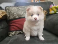 processed/253b0d93-c331-4bb4-8b36-9b6df43f80c4/listing/3efa9b4d-c682-43c8-b911-9e2f963c020e/281258cb-09b5-491a-96eb-7d3523a0f4a2