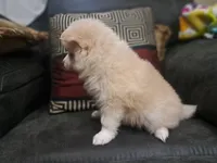 processed/253b0d93-c331-4bb4-8b36-9b6df43f80c4/listing/3efa9b4d-c682-43c8-b911-9e2f963c020e/39962866-289d-4cd7-a151-09d530aecba9