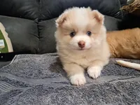 processed/253b0d93-c331-4bb4-8b36-9b6df43f80c4/listing/3efa9b4d-c682-43c8-b911-9e2f963c020e/afa0fa9b-702f-41e5-afed-1e2f1a2fbfad