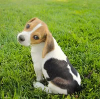 Milo - Pocket Beagle, a male Beagle for sale in Red Bluff, CA – 1 of 8