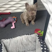 processed/254184d3-407a-4302-b9f0-b849d4801d03/facility/53e4923f-5871-4387-88b8-9f353abaaf72