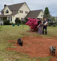 processed/254184d3-407a-4302-b9f0-b849d4801d03/facility/a0139304-2128-4862-ab40-5befe552d3ba