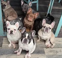 processed/254184d3-407a-4302-b9f0-b849d4801d03/facility/b69056f2-451e-488b-9895-1ba8a885fec7