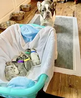 processed/254184d3-407a-4302-b9f0-b849d4801d03/facility/c09d1a13-9fad-4e87-ba11-7d0f60b7b877