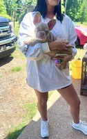 Jett- Isabella & Tan, a male French Bulldog for sale in Birmingham, AL – Photo 10 of 10