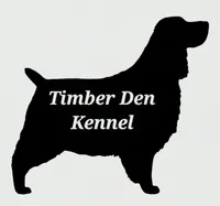 Tucker, a male English Springer Spaniel for sale in Pendleton, SC – 10 of 10