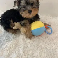 processed/256c0844-e550-43e1-9462-7bcf53dd4c3e/facility/4704273e-8f62-4a85-b9fb-30d68f3541eb