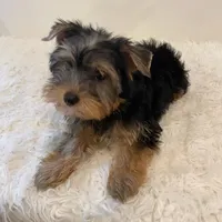 processed/256c0844-e550-43e1-9462-7bcf53dd4c3e/facility/575214b2-1209-437f-b6e3-bf8527f0ac2e