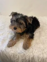 processed/256c0844-e550-43e1-9462-7bcf53dd4c3e/facility/575214b2-1209-437f-b6e3-bf8527f0ac2e