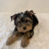 processed/256c0844-e550-43e1-9462-7bcf53dd4c3e/facility/5db2813a-8d92-41d7-a076-9d4ba419624f