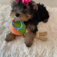 processed/256c0844-e550-43e1-9462-7bcf53dd4c3e/facility/980d0a6b-8eb1-4b20-a5f1-d3f9e79aa5f7