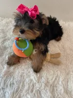 processed/256c0844-e550-43e1-9462-7bcf53dd4c3e/facility/980d0a6b-8eb1-4b20-a5f1-d3f9e79aa5f7