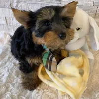 processed/256c0844-e550-43e1-9462-7bcf53dd4c3e/facility/a1b604ef-491d-4f55-a918-92932b3e33b6