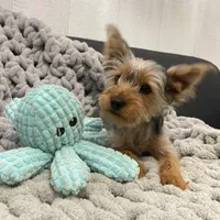 processed/256c0844-e550-43e1-9462-7bcf53dd4c3e/facility/c8eaf583-1d7d-4dfd-87ef-5679806929fe