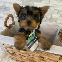 processed/256c0844-e550-43e1-9462-7bcf53dd4c3e/facility/da5ed951-fa64-4839-a6b3-c0eb8c9ebb53