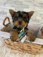 processed/256c0844-e550-43e1-9462-7bcf53dd4c3e/facility/da5ed951-fa64-4839-a6b3-c0eb8c9ebb53