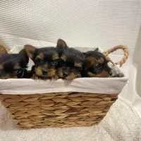 processed/256c0844-e550-43e1-9462-7bcf53dd4c3e/facility/eb756263-229d-4c21-bf47-5f3762d121c2