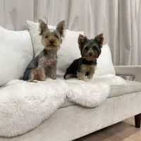 processed/256c0844-e550-43e1-9462-7bcf53dd4c3e/facility/f08c590a-c030-4b06-b059-18c78aa15029