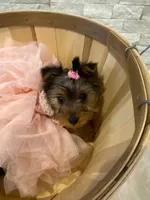 processed/256c0844-e550-43e1-9462-7bcf53dd4c3e/listing/eb5d005b-0895-444f-a42a-3ed876d1db4e/2588ee02-9d3c-4eb9-ae15-ed05d6480c79