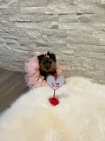 processed/256c0844-e550-43e1-9462-7bcf53dd4c3e/listing/eb5d005b-0895-444f-a42a-3ed876d1db4e/48ffa924-dce6-479f-b84d-0808aac8132c