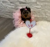 processed/256c0844-e550-43e1-9462-7bcf53dd4c3e/listing/eb5d005b-0895-444f-a42a-3ed876d1db4e/4bb47675-7c6a-465b-ba34-af0313e441e9