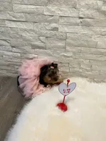 processed/256c0844-e550-43e1-9462-7bcf53dd4c3e/listing/eb5d005b-0895-444f-a42a-3ed876d1db4e/99b58296-d886-4504-a84e-c19e3c01374f