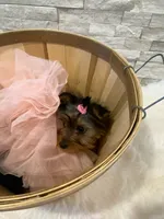 processed/256c0844-e550-43e1-9462-7bcf53dd4c3e/listing/eb5d005b-0895-444f-a42a-3ed876d1db4e/a48b38ce-ed67-4dcc-86cf-3392221b85c4