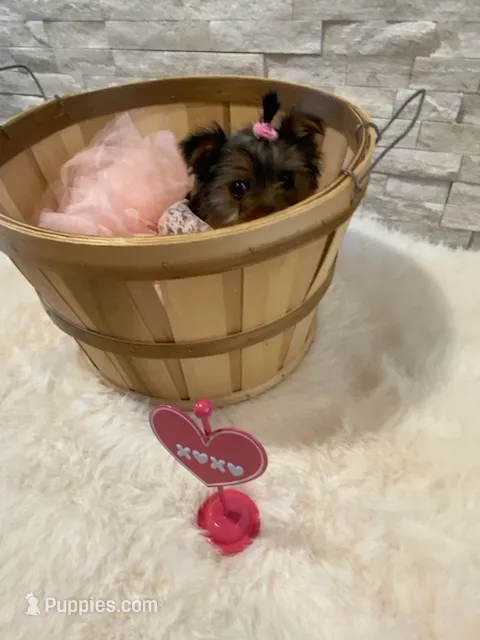 processed/256c0844-e550-43e1-9462-7bcf53dd4c3e/listing/eb5d005b-0895-444f-a42a-3ed876d1db4e/c41eb9fc-9eec-4b88-a267-998adec64106