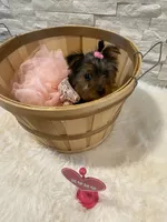 processed/256c0844-e550-43e1-9462-7bcf53dd4c3e/listing/eb5d005b-0895-444f-a42a-3ed876d1db4e/d4ed3e4b-5e44-48bb-9a70-c4196af158ce