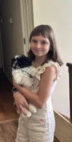 Porter , a male Shih Tzu for sale in Saint Joseph, MO – 10 of 10