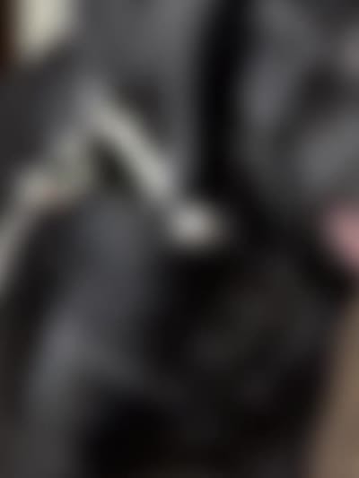 DORIAN GREY, a male Cane Corso for sale in Stockton, CA – 2 of 3