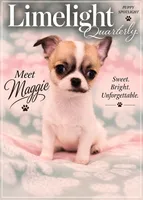 AKC MAGGIE, a female Chihuahua for sale in Troy, MO – 1 of 2