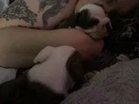 processed/2583b21d-7170-4946-a21a-ddbf6d269a51/listing/36c1e020-8f10-461e-ad1f-eb6978235cb3/66f4f49a-06d5-4e34-87f8-097cce7c3e13