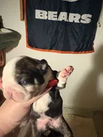 processed/2583b21d-7170-4946-a21a-ddbf6d269a51/listing/36c1e020-8f10-461e-ad1f-eb6978235cb3/9879ef3d-45a0-44a9-bf2b-f253cf68438d