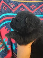 processed/25879a00-8bb9-4e82-a788-e309bbaeca6e/listing/4d2fc274-83b4-42f8-8359-bb523a3b897d/9f5b727f-d564-4d3e-80fc-f170f9c6442b