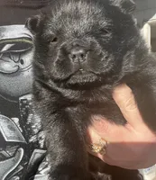 processed/25879a00-8bb9-4e82-a788-e309bbaeca6e/listing/58ac6cd8-9218-4b9b-805b-8037c0891825/213c1043-5bfe-4394-8adb-97f80b71b6f6