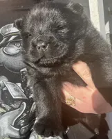 processed/25879a00-8bb9-4e82-a788-e309bbaeca6e/listing/58ac6cd8-9218-4b9b-805b-8037c0891825/699e3907-eff7-4422-a4d3-f43d1220aa5d