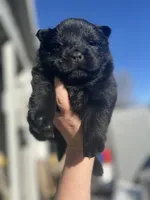 processed/25879a00-8bb9-4e82-a788-e309bbaeca6e/listing/58ac6cd8-9218-4b9b-805b-8037c0891825/828fafea-f5e0-4730-a053-0ca66c0b0492