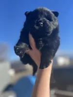 processed/25879a00-8bb9-4e82-a788-e309bbaeca6e/listing/58ac6cd8-9218-4b9b-805b-8037c0891825/99ce02e7-21db-4253-960c-3cbe9eefbb12