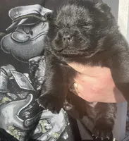 processed/25879a00-8bb9-4e82-a788-e309bbaeca6e/listing/58ac6cd8-9218-4b9b-805b-8037c0891825/f4bb40f0-a156-4556-947c-7da2d970d2ea