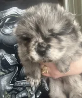 processed/25879a00-8bb9-4e82-a788-e309bbaeca6e/listing/6efb476e-6f9d-4d13-9824-7a0e33a3b10c/2f53133e-015e-4500-af4f-247333c18d1d