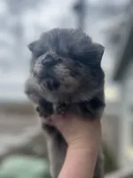 processed/25879a00-8bb9-4e82-a788-e309bbaeca6e/listing/6efb476e-6f9d-4d13-9824-7a0e33a3b10c/5881e7e3-417d-4da2-9e20-ac6a745b43ff